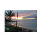 Permalink to Avoiding the Blues Sunset over a tropical beach with calm waves gently reaching the sand. Palm trees frame the view, and the sky is a blend of pink, orange, and purple hues with scattered clouds. Lounge chairs are on the beach, providing a serene atmosphere.